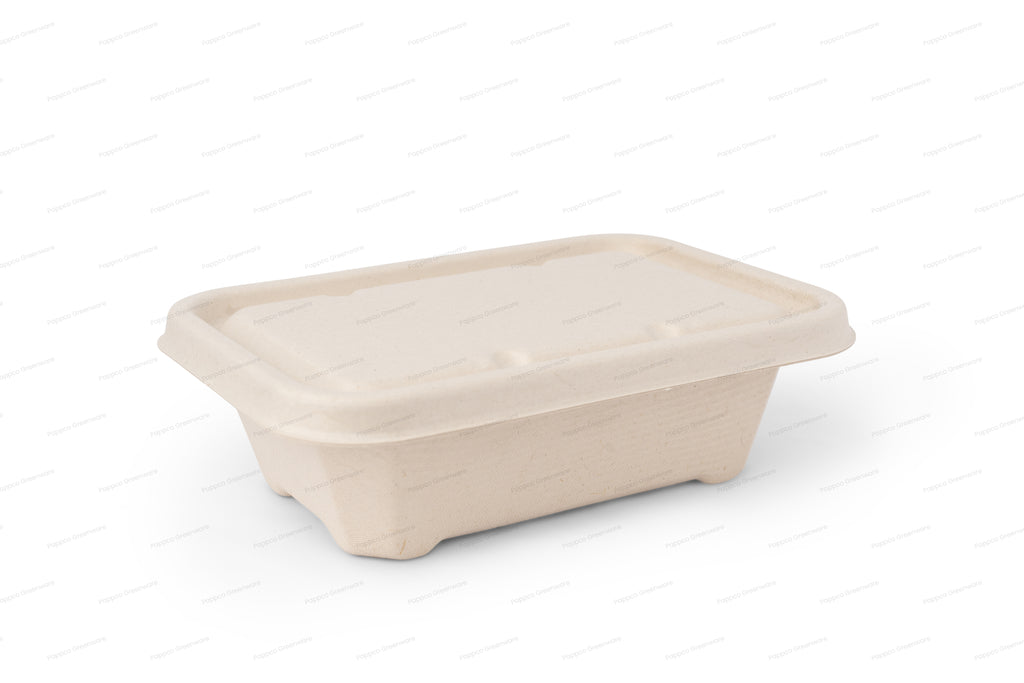 650ml Rectangular Brown Bagasse Parcel Container With Lid