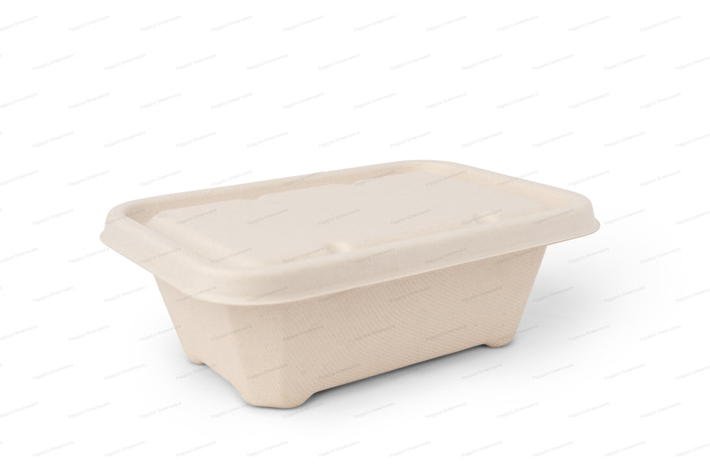 750ml Rectangular Brown Bagasse Parcel Container With Lid