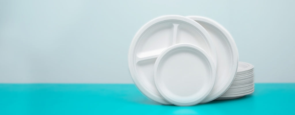 sugarcane bagasse plates