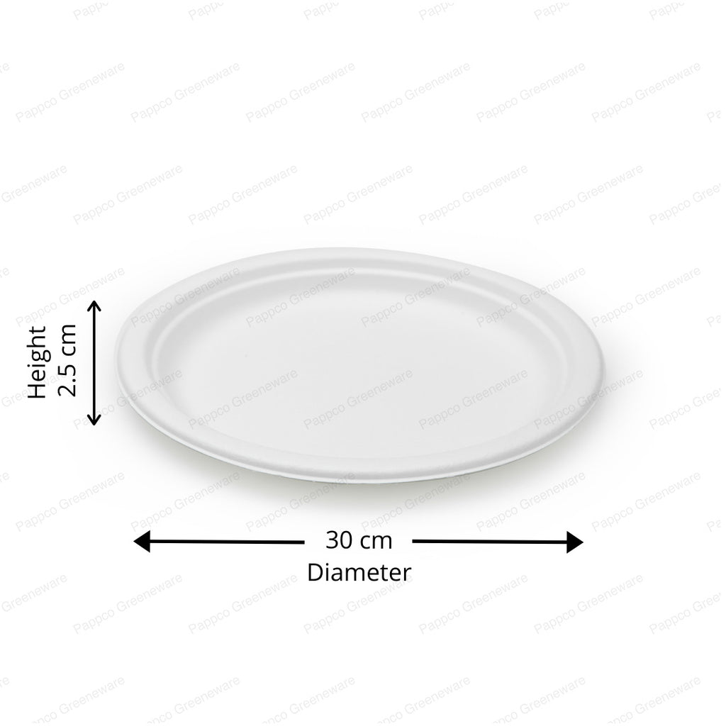 12" Round Plate (Large Thali Size)